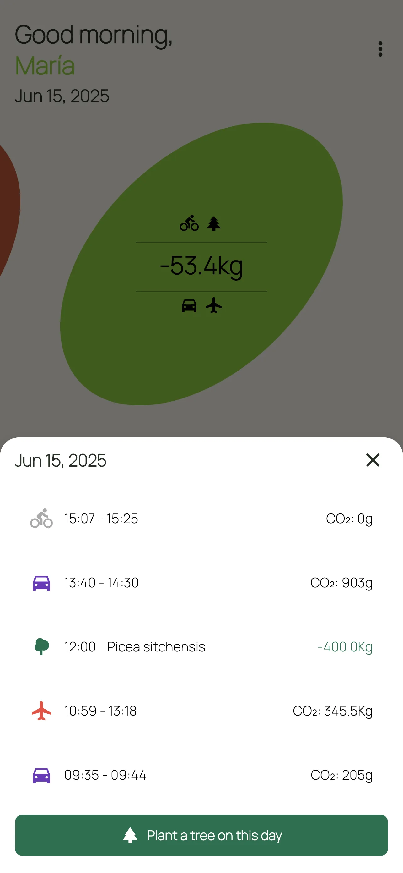 CarbonFlow day activity